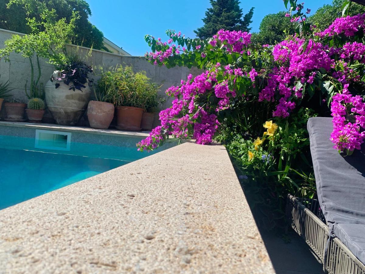 Luxury Pool Central Makarska Apartment By Maryn 外观 照片