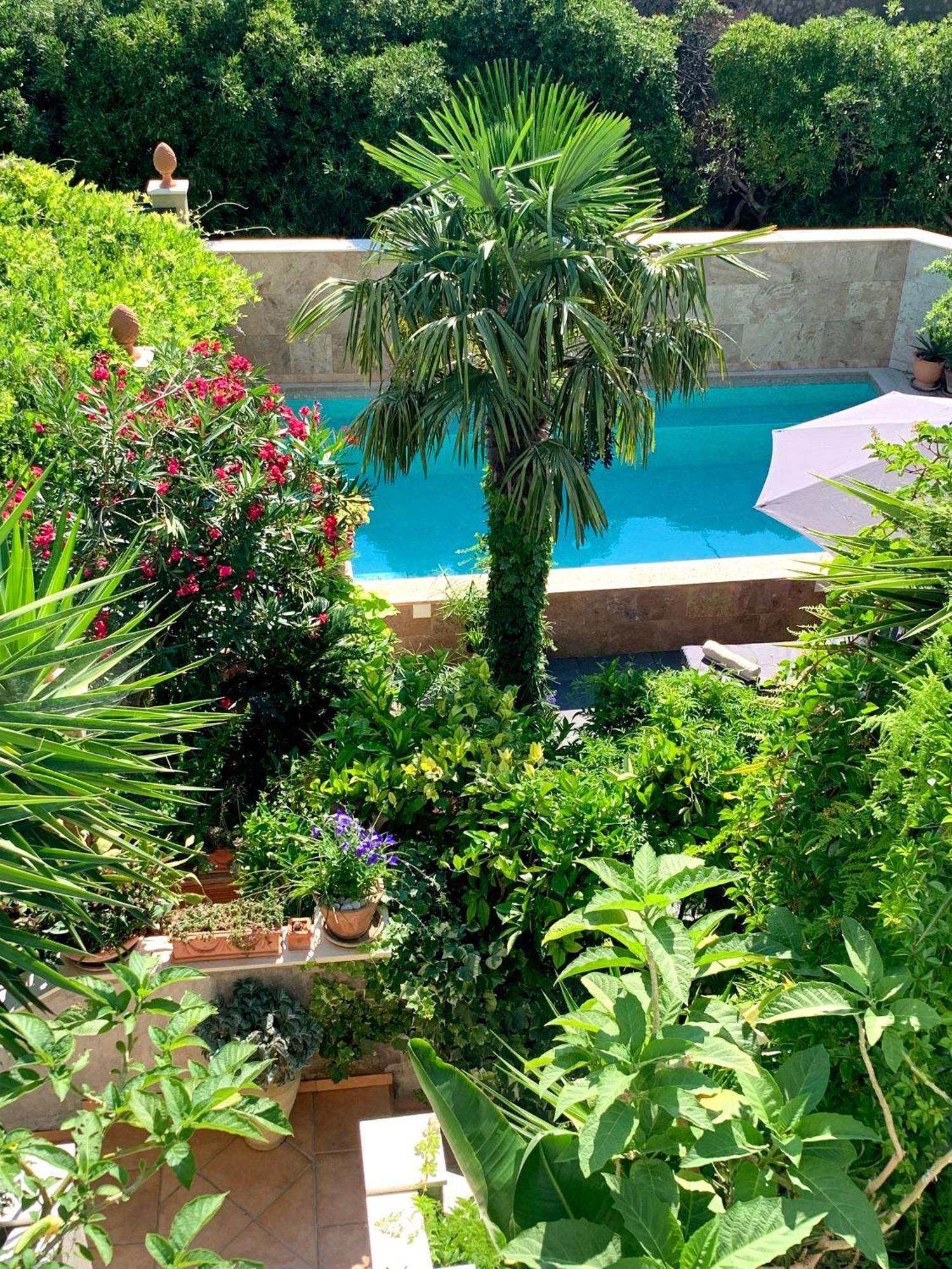Luxury Pool Central Makarska Apartment By Maryn 外观 照片